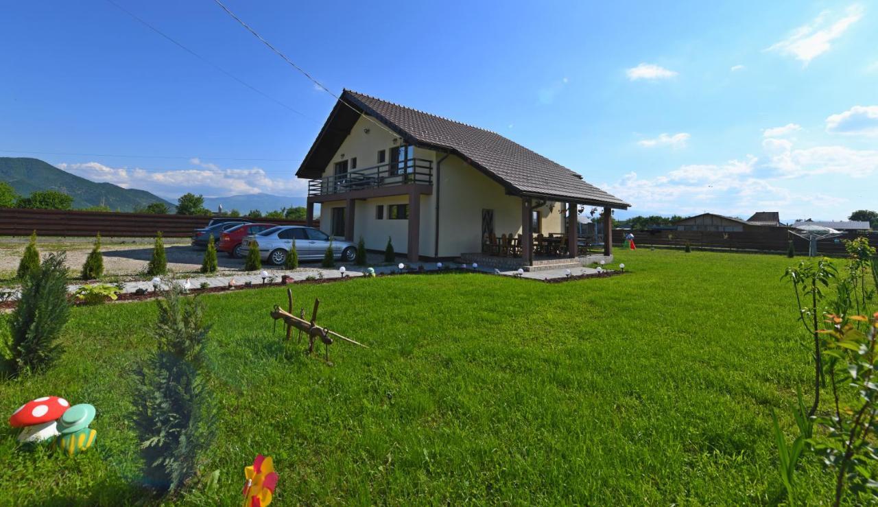 Pensiunea Daria ฮาเซก ภายนอก รูปภาพ