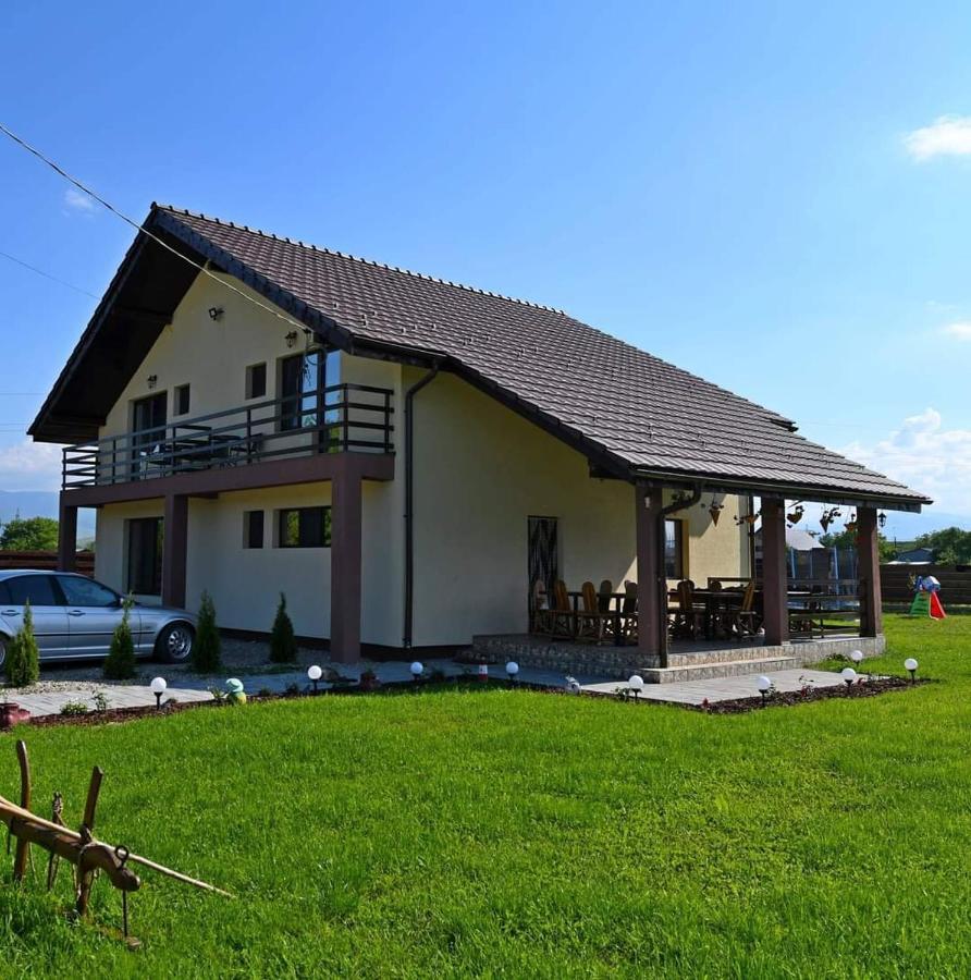 Pensiunea Daria ฮาเซก ภายนอก รูปภาพ